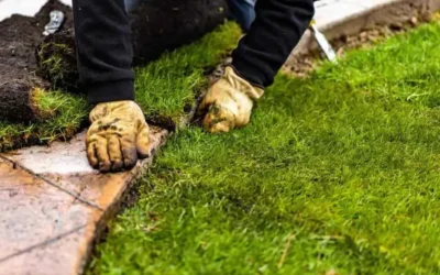 Landscaping in Romford | Garden Design, Patios & Costs 2026 | Trade Wright
